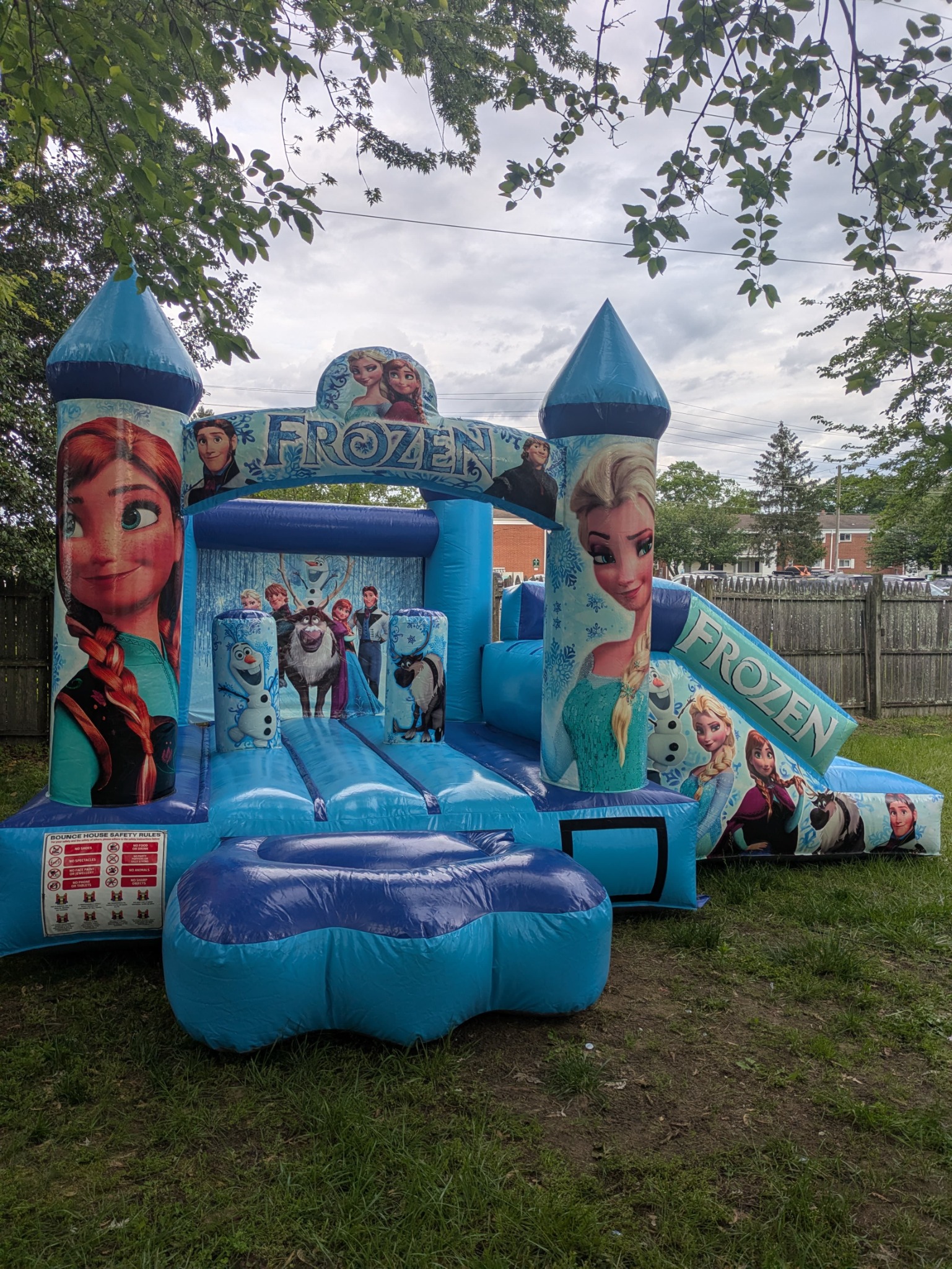 Frozen inflatable bounce house