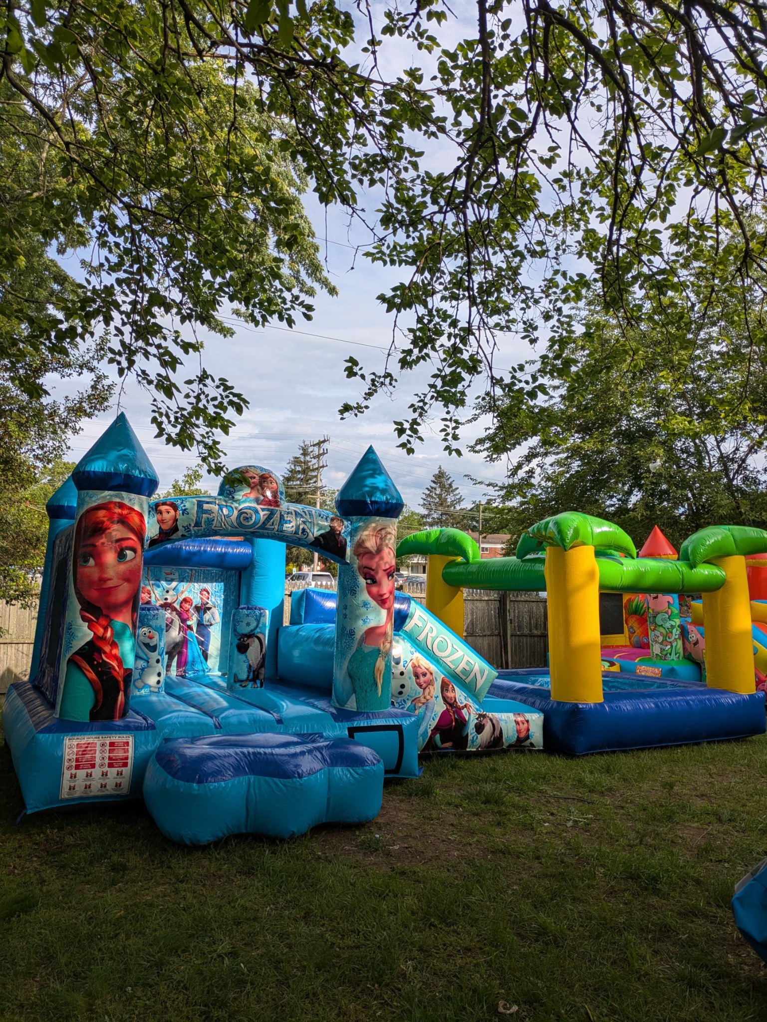 Frozen inflatable rental side angle